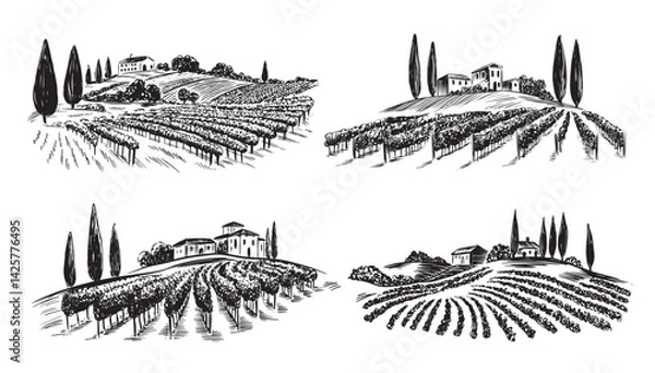Obraz Vineyard landscape set on white, hand drawn	
