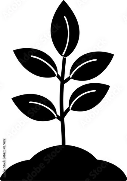 Fototapeta tree with leaves