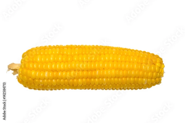 Obraz A corn isolate on white with clipping path