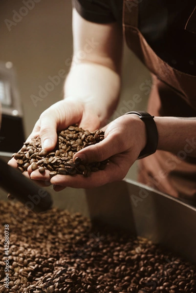Fototapeta Person checking quality of roasted coffee beans