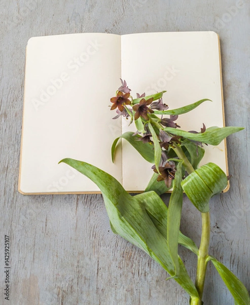 Fototapeta Fritillaria Sewerzowii or Korolkowia sewerzowii  on Notebook with Copy Space (Flat Lay)