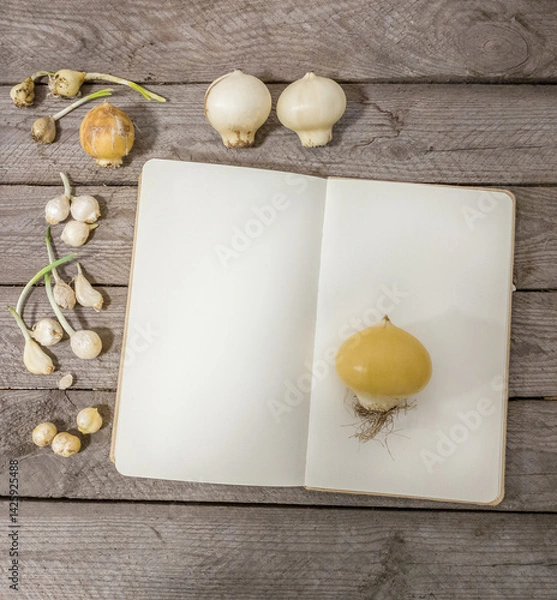 Fototapeta Decorative Onion Bulbs and Blank Notebook for Text (Flat Lay)