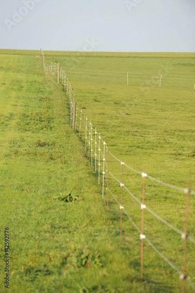 Obraz Koppelzaun an einer Pferdeweide