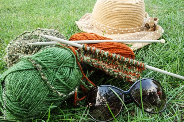 Obraz Outdoor view of Knitting elements