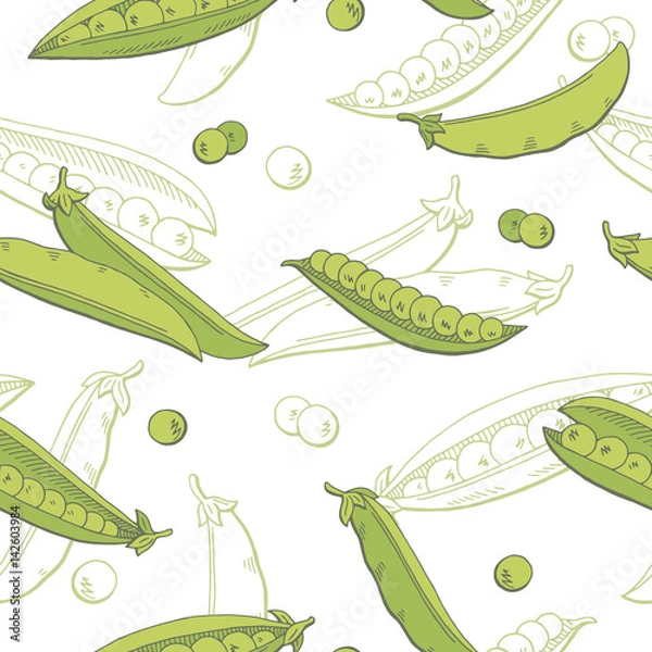 Fototapeta Pea graphic vegetable color seamless pattern sketch illustration vector