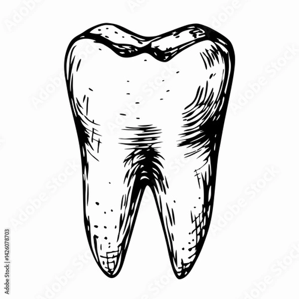 Fototapeta Hand-drawn illustration of a tooth showcasing a natural texture and shape, symbolizing dental health and hygiene.