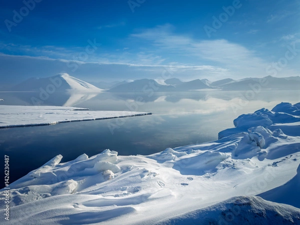 Obraz Polar bear tracks in the snow from Svalbard