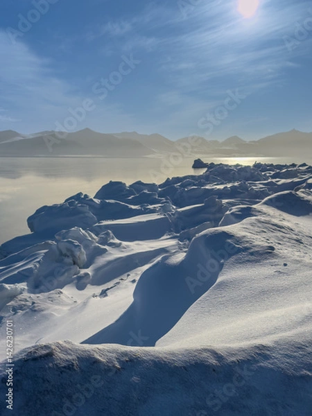 Obraz Polar bear tracks in the snow from Svalbard