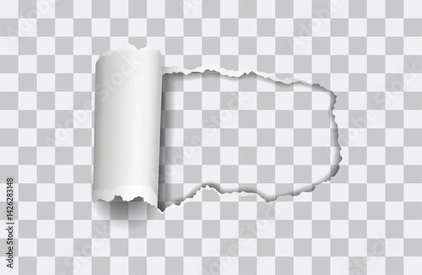 Fototapeta Vector realistic torn paper with rollled edge on transparent background