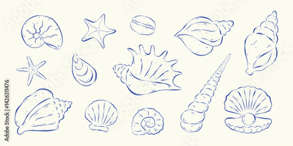 Fototapeta Collection of hand drawn outline seashells on white background. Shell, starfish and pearl. Flat vector illustration. Perfect for marine design, festive cards or banners.