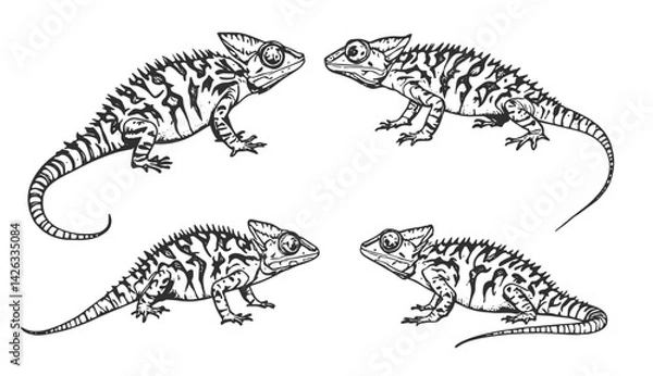Fototapeta Chameleon lizard sketch engraving vector illustration. engraving illustration of chameleon