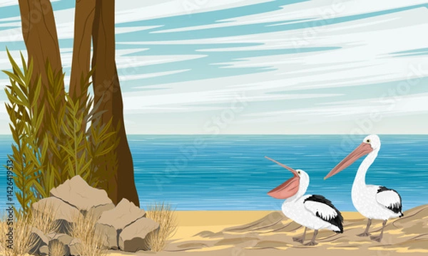 Fototapeta A pair of pelicans stands on a narrow sandy shore with tropical plants. Wild birds of Australia, New Guinea and Indonesia. Vector realistic illustration