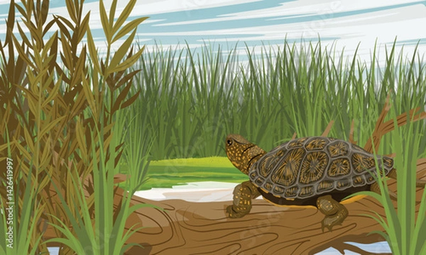 Fototapeta Marsh turtle sits on a log on the shore of a lake. Realistic vector landscape