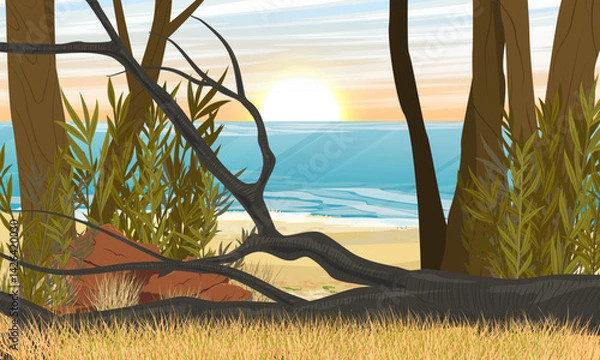 Fototapeta Tropical coastline with exotic plants. Australia and New Zealand. Realistic vector landscape
