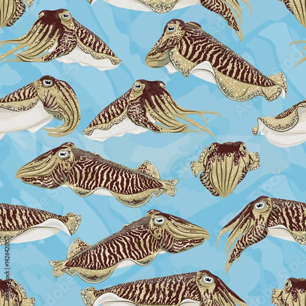 Fototapeta Seamless pattern with Common cuttlefish. Realistic vector cephalopod