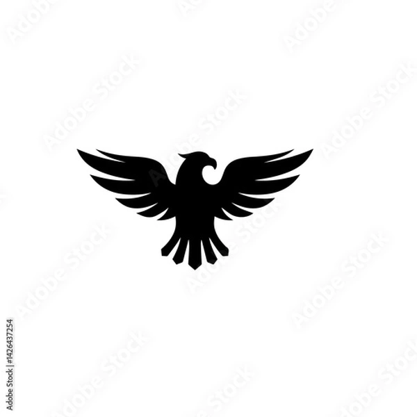 Obraz Silhouette of an eagle in attack
