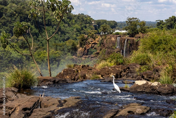 Obraz river in the mountains
