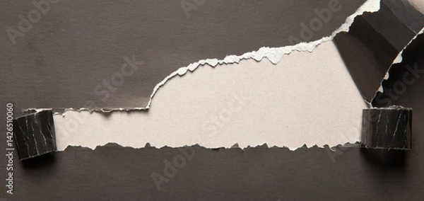 Fototapeta Empty torn paper for your text or object. Business