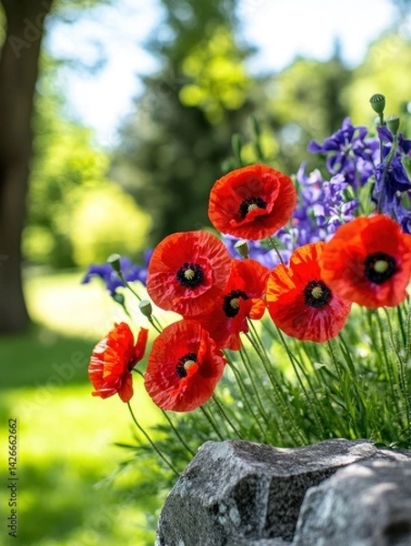 Fototapeta Flags and poppies on graves in veterans cemetery symbolizing remembrance and honor