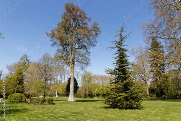Obraz Parc au printemps