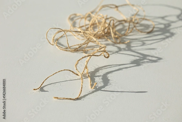 Obraz Hemp rope isolated on white.