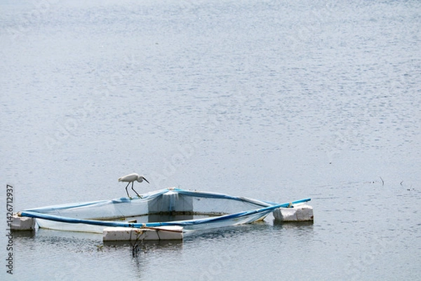 Obraz White Bird on Floating Structure in Calm Water Under Clear Sky