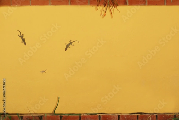 Obraz Lizards Climbing on Bright Yellow Wall with Brick Top Border