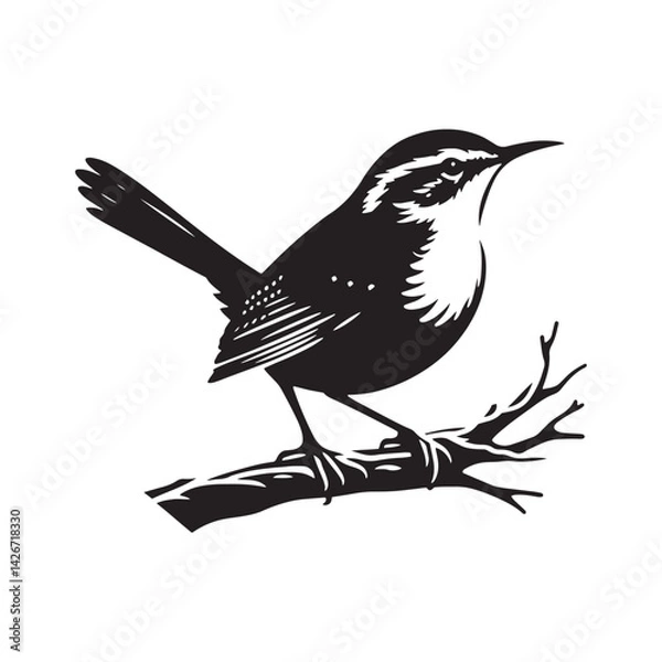 Fototapeta Carolina wren Vector Silhouette - Carolina wren Minimal ART - Illustration of Carolina wren.