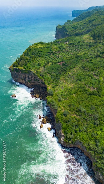 Obraz Aerial view of the coast, rocky cliffs and green forests located in Gunung Kidul, Yogyakarta, Indonesia