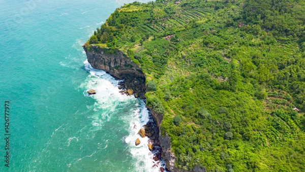 Obraz Aerial view of the coast, rocky cliffs and green forests located in Gunung Kidul, Yogyakarta, Indonesia
