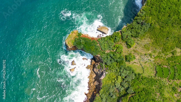 Obraz Aerial view of the coast, rocky cliffs and green forests located in Gunung Kidul, Yogyakarta, Indonesia