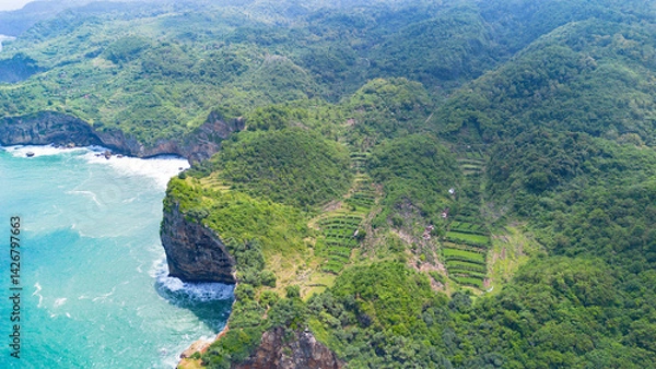 Obraz Aerial view of the coast, rocky cliffs and green forests located in Gunung Kidul, Yogyakarta, Indonesia