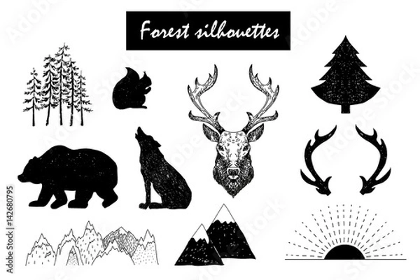 Obraz Hand drawn vector wild design elements. Forest silhouettes.