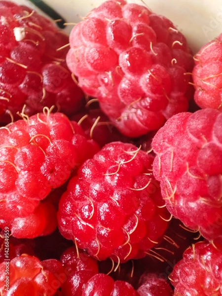 Obraz raspberry close-up