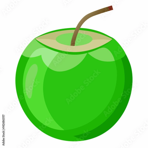 Obraz green coconut isolated vector