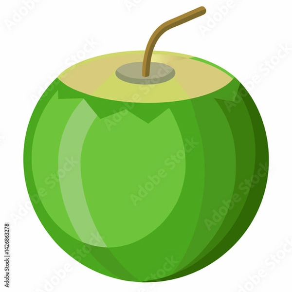 Obraz green coconut isolated vector