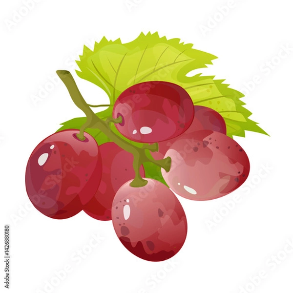 Fototapeta Grape branch.For sticker and t shirt design, posters, logos, labels, banners, stickers,bottle product package, cuisine cooking or salad, etc