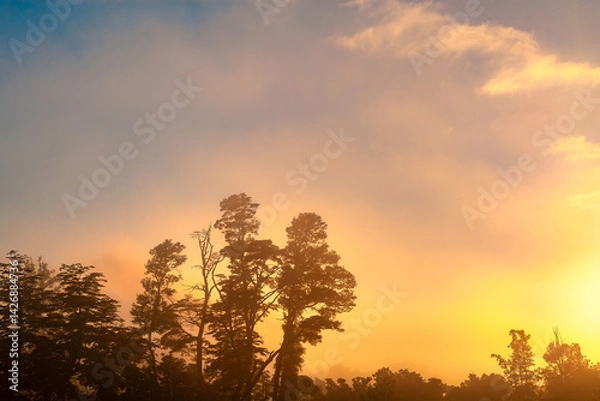 Fototapeta Golden light of dawn casts a warm glow over a farm in Villarrica, Chile. Silhouettes of trees define the horizon while the serene atmosphere sets a peaceful mood.