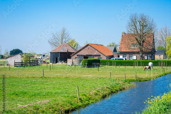 Obraz Idyllic view of a farmhouse in the low lying Zuidplaspolder, north of Rotterdam, Netherlands