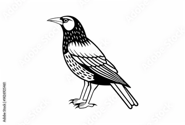 Obraz bird on a branch