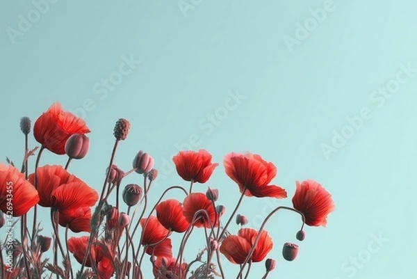 Obraz minimal Memorial Day short quote, template with poppy flowers and bright sky,