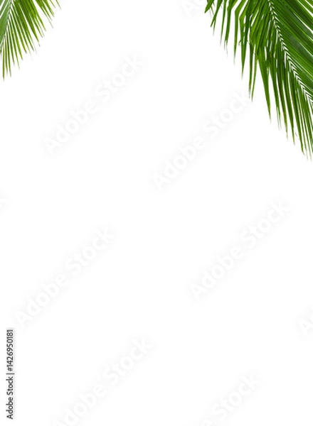 Fototapeta Real green branch on transparent background. Natural tropical green leaves isolated. Tree leaf frame png isolate die cut file 
