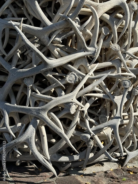 Obraz Abstract Texture Antlers Elk
