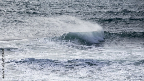 Obraz Black Sea wave 