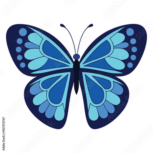 Obraz A beautiful blue butterfly vector