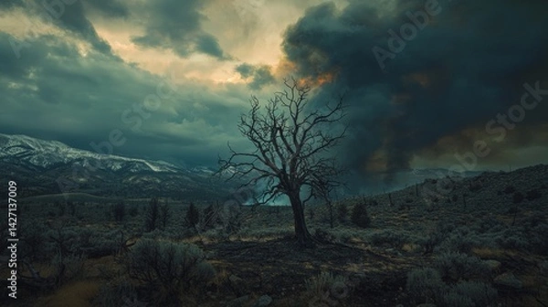 Fototapeta Dark clouds gather over a barren landscape with a lone tree in the foreground during an impending storm