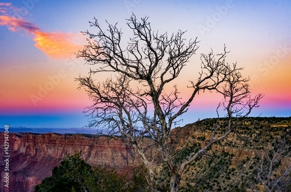Fototapeta Spectacular view from the south rim of the Grand Canyon in Arizona