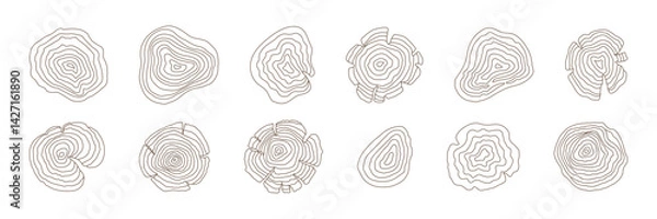 Fototapeta A collection of 12 thin-line tree ring illustrations in a minimalist style, showcasing organic wood grain patterns on a white background. Editable stroke