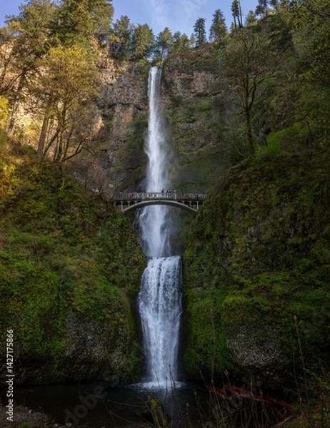 Obraz Multnomah Falls in Spring 2025