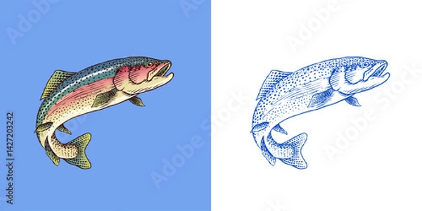 Obraz Rainbow trout collection with fish package and chunk of meat.River fishing elements and filet, salmon or other sea food fishing tackle and hook, bobber 